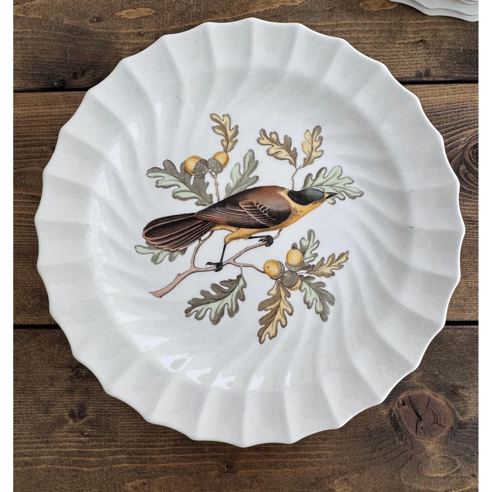 Copeland Spode CANADA JAY England 9" Bird Collector Plate Vintage 1960-1970
